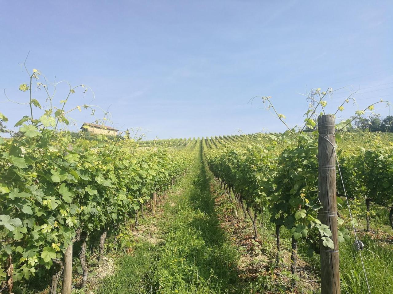 La Maggiorina Aparthotel Agliano Terme Buitenkant foto
