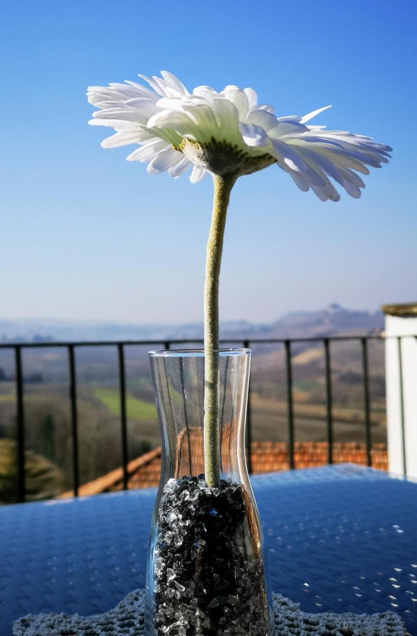 La Maggiorina Aparthotel Agliano Terme Buitenkant foto
