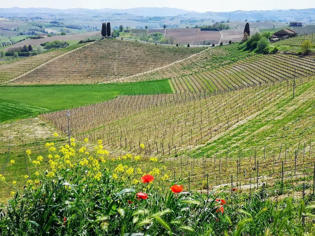 La Maggiorina Aparthotel Agliano Terme Buitenkant foto